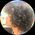 Photo de profil de Y. Lee